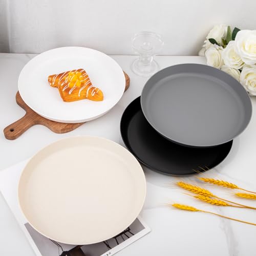 ejonirinjonir EI 16pcs Wheat Straw Dinner Plates Set,Unbreakable Plastic Plates,Reusable Lightwight Plastic Plate,Party Plate for Halloween,Family Dinners, Picnics, School-Black,White,Dark Grey,Beige - color: Four Color Wheat Straw Plates