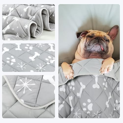 wegreeco Pet Dog Cooling Mat for Cats, Lightweight Bed Outdoor Cooling Blanket for Dogs and Cats, Small Medium Large Puppy Cool Pad for Dogs, Small Bones XLarge - color: Small Bones, size: X-Large