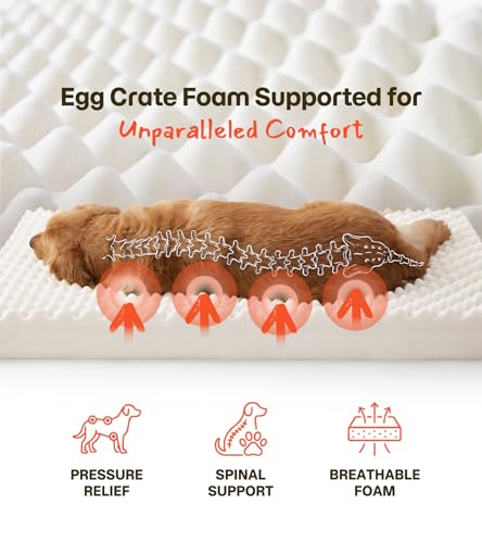 Dog Bed for Crate, Extra Large Cooling Mat for Dogs, Waterproof Dog Bed with Dual Surface Removable Washable Covers, 41 x 27 Inch Pet Bed with Egg Crate Foam - size: 41"l X 27"w X 3"th