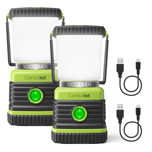 LED Camping Lantern Rechargeable, Consciot Camping Lights, 1000LM, 4 Light Modes, 4400mAh Power Bank, IPX4 Waterproof, Dimmable Tent Lights for Emergency, Power Outages, USB C Cable Included, 2 Pack - size: 1000 Lumens - 2
