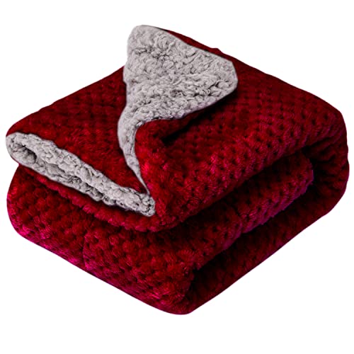 Fuzzy Blanket or Fluffy Blanket for Baby Girl or boy, Soft Warm Cozy Coral Fleece Toddler, Infant or Newborn Receiving Blanket for Crib, Stroller, Travel, Outdoor (32" x 40", DG-Coral Red) - color: Dg-coral Red, size: Blanket (32" x 40")