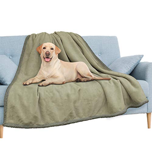 PAVILIA Waterproof Blanket for Couch, Sofa | Waterproof Dog Blanket for Large Dog, Puppy, Cat | Pet Blanket Protector | Plush Soft Warm Fuzzy Sherpa Blanket Bed Throw, Taupe, 90x90 - color: Taupe, size: 90x90 Inches