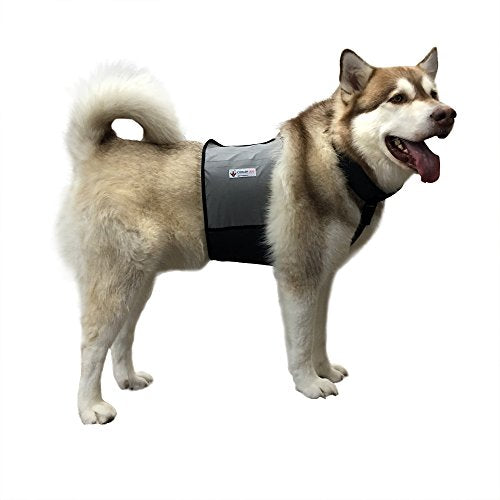 CoolerDog Dog Cooling Vest & Cooling Collar – Ice Vest for Hot Weather Heat Relief, Re-Freezable Pure Water Inserts (Large 27”–34” Girth) - size: L