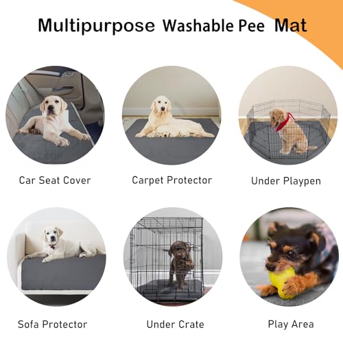 LOOBANI Non-Slip Washable Pee Pad for Dogs, 1 Pack Extra Large Reusable Dog Mat for Floor, Fast Absorbent Pet Whelping Pads, Puppy Playpen Mat for Incontinence, Housebreaking, Crate, 82x120in, Gray - size: 82"*120"(Pack of 1) Gray