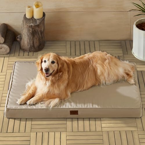 BFPETHOME Outdoor Dog Bed for Large Dogs, Waterproof, Orthopedic with Removable Washable Cover, Egg Crate Foam Mat (36 x 27in, Beige) - color: Beige, size: 36.0"l X 27.0"w X 3.0"th