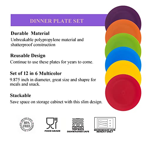 KOXIN-KARLU 10-inch Dinner Plates, Reusable Plastic Plates for Picnic, Set of 12 Multicolor