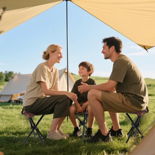 Travel Folding Camping Stool, 14.6 inches Lightweight Outdoor Tripod Chair and Maximum weight 210 lbs Portable Party Chair Fishing Chairs Seat for Camp Hiking Beach Garden and Painting (Brown) - color: Brown
