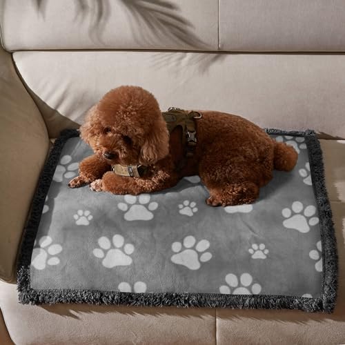 Kritter Planet Waterproof Dog Blankets for Small Dogs, Puppy Blankets for Litter, Cat Blankets for Indoor Cats Washable, Reversible Fleece Pet Mat for Crates, Car Seats, and Furniture - color: Paw Print, size: 30"x25"