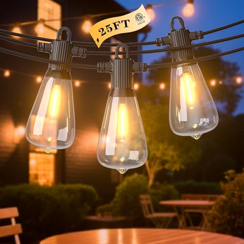 LED Outdoor String Lights, 25FT Outside Waterproof Patio Lights with 12+1 Shatterproof ST38 Edison Bulbs, 2700K Warm White Hanging Light, Dimmable Light for Back Yard Porch Party Gezebo - size: 25FT
