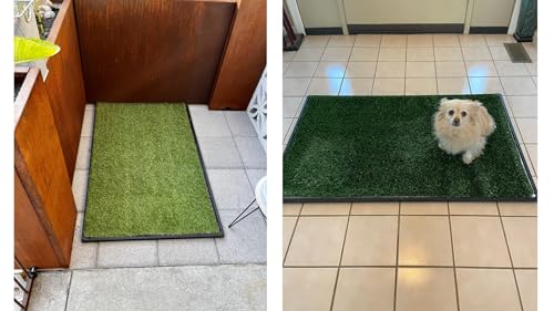 Dog Grass Pad with Tray: 2-Pack Fake Grass, 35 x 21.7 in, Ideal for Medium & Large Dogs - Perfect for Indoor Use, Potty Training