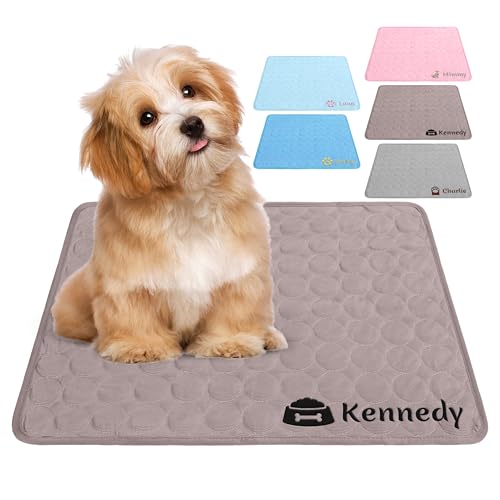 NIBESSER Personalized Dog Cooling Pad for Dog Cats Kennel Ice Silk Portable & Washable Summer Pet Self Custom Cooling Bed Blanket Crate Sleep Mat, Coffee - color: Coffee