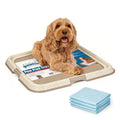Pawise Upgraded Dog Pee Pad Holder for Puppy, Puppy Pad Holder Tray, Pet Training Pee Pad, Indoor Potty Tray for Senior Dogs, Dog Toilet for Newborn Puppies, Includes 4 Pee Pads,23.5" x 23.5" - size: Medium