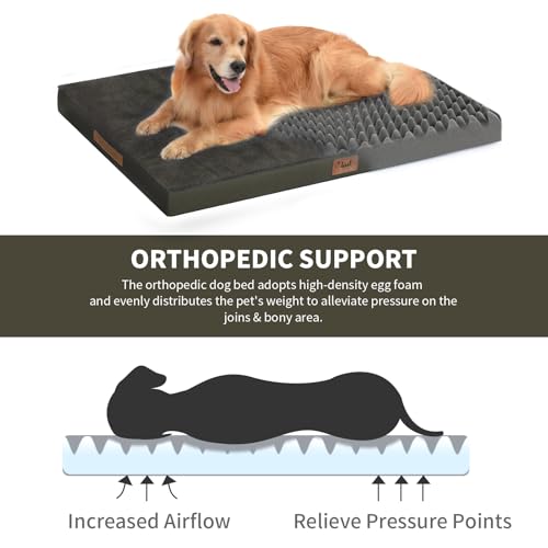 Comfort Dog Bed for Small Dogs & Cats, Waterproof Dog Crate Mat Orthopedic Egg Crate Foam with Washable Removable Cover, Coffee - color: Coffee, size: 23.0"L x 17.0"W x 2.5"Th