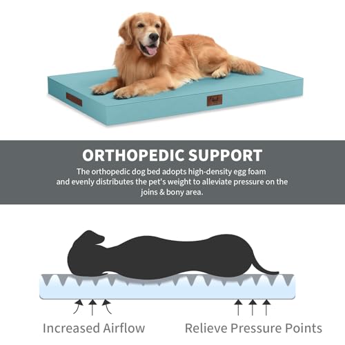Outdoor Dog Bed for Small Dogs & Cats, Waterproof Dog Crate Mat Orthopedic Egg Crate Foam with Washable Removable Oxford Cover, Light Blue - color: Light Blue, size: 23.0"L x 17.0"W x 2.5"Th