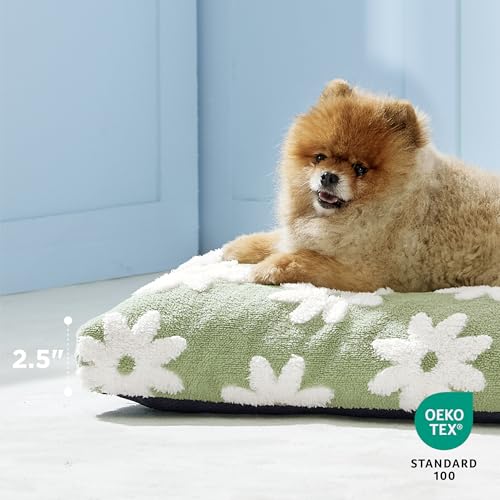 LE SURE Small Dog Beds-Thick Shredded Chopped Foam Pet Bed Gift Indoor with Removable Cover, Cute Modern Fuzzy Plush & Anti Slip Bottom, Green - color: Green, size: 24.0"L x 16.0"W x 2.5"Th