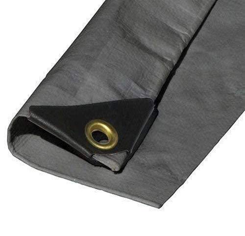 6'x40' Silver Tarp Extra Heavy Duty 12 MIL 3 Ply Coated Reinforced Canopy 6 oz 3 Layer (Finished Size 5'.6 X 39'.6) - size: 6'x40'
