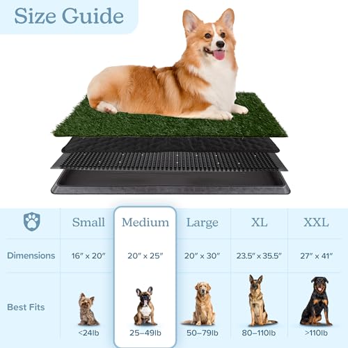 Artificial Grass Puppy Pee Pad for Dogs and Small Pets - 20x25 Reusable 4-Layer Training Potty Pad with Tray - Dog House and Pet Supplies by PETMAKER - size: Medium 4-layer System