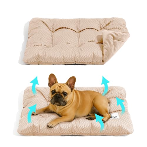 FUNNY FUZZY 30x20 Washable Dog Bed Crate Mat, 2 in1 Pet Pillow Sleeping Bed, Fluffy Deluxe Kennel Mattress for Medium Dog and Cat,Charcoal Grey,M,Beige - color: Beige, size: 30"×19" Medium