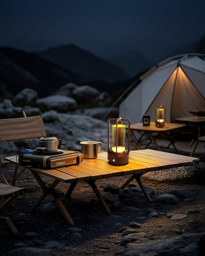 Set of 2 Cordless Table Lamps, LED Rechargeable Battery Operated Desk Lamps with 3 Color Stepless Dimmable, Small Light Portable for Outdoor Patio Bar Restaurants Bedroom Bedside (Brown) - color: Brown