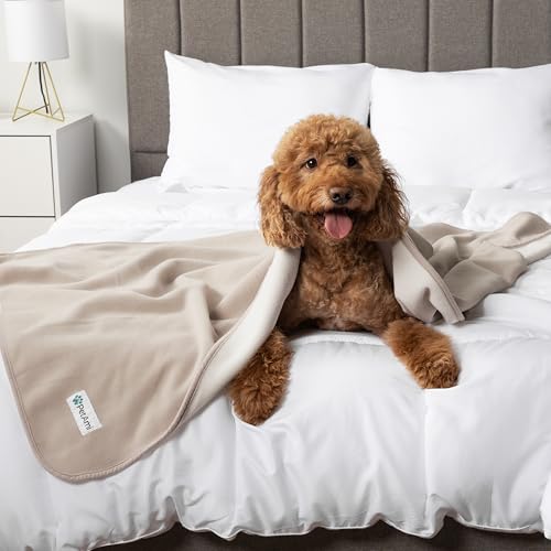 PetAmi Waterproof Dog Blanket for Medium Large Pets Dogs Cats, Pet Couch Cover Protector for Furniture, Reversible Washable Soft Fleece Cat Blanket for Bed Couch Sofa, 40x60 (Taupe/Beige) - color: Taupe/Beige, size: Large (40x60)