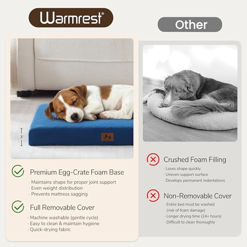 Orthopedic Dog Beds for Small Dogs, Washable Pet Bed Mat with Removable Cover, Waterproof Egg Crate Foam Puppy Bed Anti Slip, 23" x 18", NOT for Chewers - size: 23"L x 18"W x 3"Th