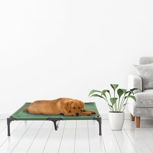 Elevated Dog Bed – 36x29.75 Portable Bed for Pets with Non-Slip Feet – Indoor/Outdoor Dog Cot or Puppy Bed for Pets up to 80lbs by Petmaker (Green) - color: Green, size: 29.7"L x 8.6"W x 4.6"Th