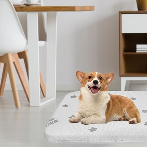 Biloban Waterproof Dog Beds for (Large) Dogs, Washable Mat Pad, Memory Foam Dog Beds & Furniture for Small/Medium Large/XL/XXL Pet with Removable Cover (Light Grey) - color: Light Grey