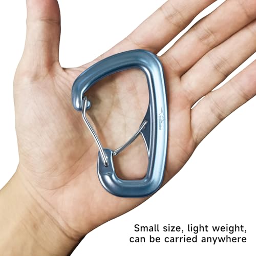 Heavy Duty Carabiner Clip Hook 8KN (1763 lbs), 2 PCS Ultra-Light Aluminum Caribeaners with Double Door D Ring Shape, for Hammock, Camping, Hiking, Backpacking, Dog Leash, Keychain Clip - style: 2#Silver-2pc