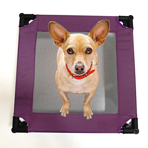 Pozico Elevated Pet Bed with Breathable Mesh for Small Cat and Dog, Raised Cooling Pet Cot for Puppy and Kitty, 18.9x18.9 inch (Purple Bed) - color: Purple Bed