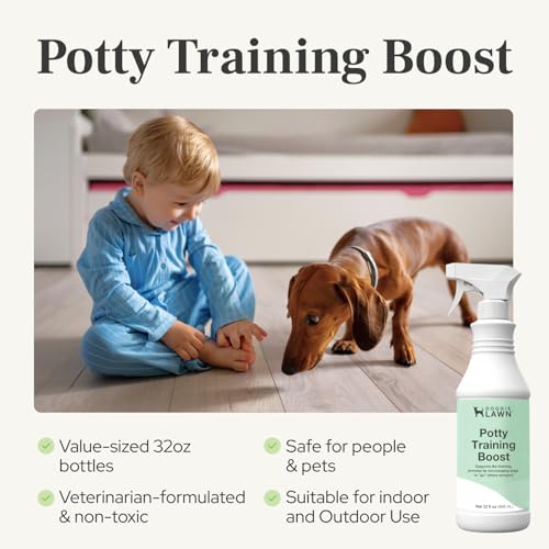 DoggieLawn Potty Training Aid Spray | Attractive Scent Helps Train Dogs Where to Potty | Formulated for Indoor & Outdoor Use | Made in USA - 32 oz
