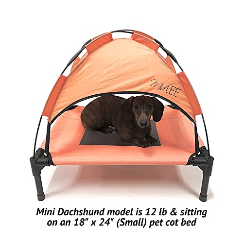 Midlee Salmon Dog Cot with Canopy (24" x 30")- Elevated Dog Bed Outside Dog Tent Carrying Bag - size: 24" x 30"