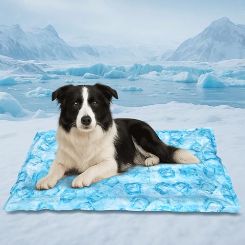 Cooling Pad for Large Dog,Instant Pet Cool Mat,Comfortable Cool Pet Mat for Cat.Portable Dog Bed for Summer. Suitable for Outdoor Summer Crate Pad.Long Time Cooling.Ice Brick(Size-L 19.7 * 23.6in) - color: Ice brick, size: Large