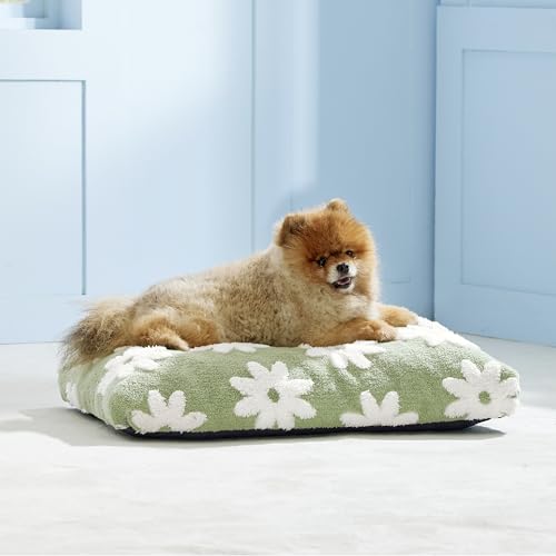 LE SURE Small Dog Beds-Thick Shredded Chopped Foam Pet Bed Gift Indoor with Removable Cover, Cute Modern Fuzzy Plush & Anti Slip Bottom, Green - color: Green, size: 24.0"L x 16.0"W x 2.5"Th