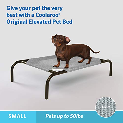 Coolaroo Original Elevated Dog Bed - Breathable Off-The-Ground Pet Bed with Cooling Fabric, Joint Relief & Moisture-Resistant Fabric, 100% Recyclable, Easy Clean, Grey, Small - color: Grey, style: Small Dog Bed