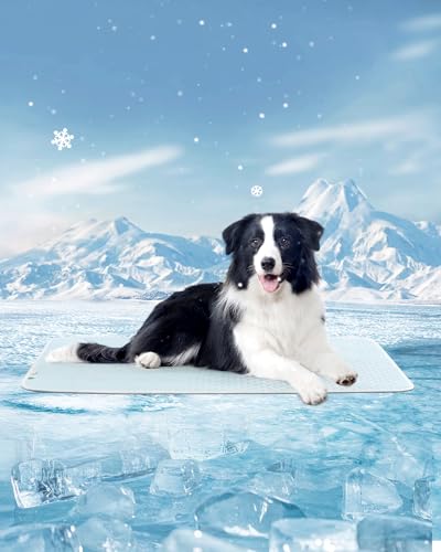 Dog Cooling Mat - Instant Cooling Pet Bed for Dogs & Cats, 6-12°F Drop, Non-Toxic & Machine Washable, Anti-Slip Bottom, Cool Mat for Indoor & Travel Use Light Blue 42" x 28" - color: Light Blue, size: XL (42" x 28")