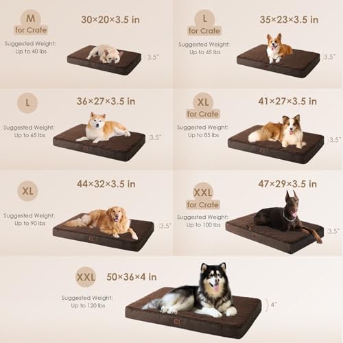 EHEYCIGA Orthopedic XL Dog Beds for Extra Large Dogs with Removable Washable Cover, Brown, 44x32 - color: Brown, size: 44*32*3.5 inches