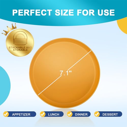 Unbreakable Dinner Plates Set of 8 (7.1-Inch) for Camping & RV Use - 100% Microwave Safe PP Plastic - Lightweight, BPA-Free, Dishwasher Safe - Perfect for Outdoor, Patio, Everyday Use, Warm Series - color: Warm Series, size: 7.1 in
