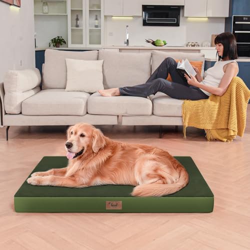 Comfort Dog Bed for Small Dogs & Cats, Waterproof Dog Crate Mat Orthopedic Egg Crate Foam with Washable Removable Cover, Olive Green - color: Olive Green, size: 23.0"L x 17.0"W x 2.5"Th