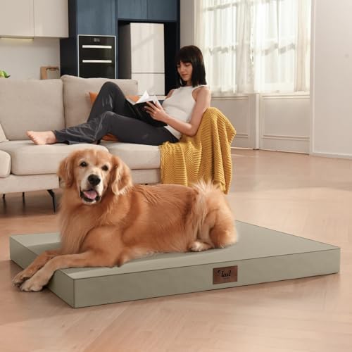 Outdoor Dog Bed for Small Dogs & Cats, Waterproof Dog Crate Mat Orthopedic Egg Crate Foam with Washable Removable Oxford Cover, Khaki - color: khaki, size: 23.0"L x 17.0"W x 2.5"Th
