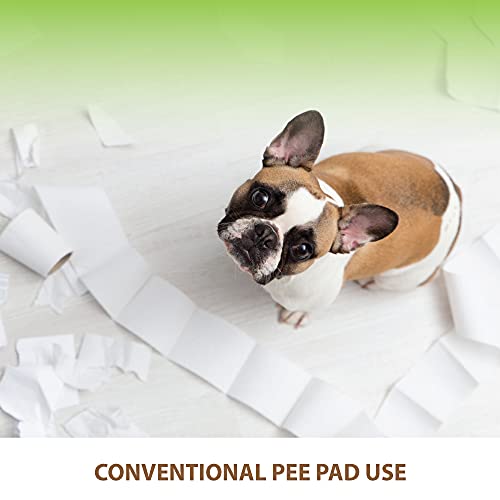 BANU Puppy Pee Pad Holder Indoor Outdoor Dog Potty Toilet Training Tray 20" x 16" for Small and Medium Dogs (Ivory)