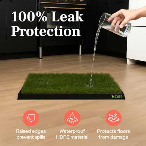 DoggieLawn Non-Spill Dog Potty Training Tray - Leak-Proof HDPE Plastic Grass Pad Holder for Apartments & Urban Homes - Reusable & Washable-Perfect for Indoor Dogs & Puppies Standard (25"x16.5"x1.5") - size: Standard (25 x 16.5 x 1.5 inches)