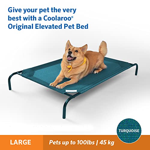 Coolaroo Original Elevated Dog Bed - Breathable Off-The-Ground Pet Bed with Cooling Fabric, Joint Relief & Moisture-Resistant Fabric, 100% Recyclable, Easy Clean, Turquoise, Large - color: Turquoise, style: Large Dog Bed