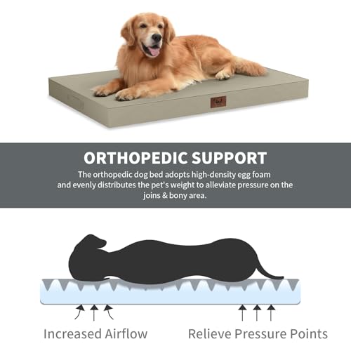Outdoor Dog Bed for Small Dogs & Cats, Waterproof Dog Crate Mat Orthopedic Egg Crate Foam with Washable Removable Oxford Cover, Khaki - color: khaki, size: 23.0"L x 17.0"W x 2.5"Th