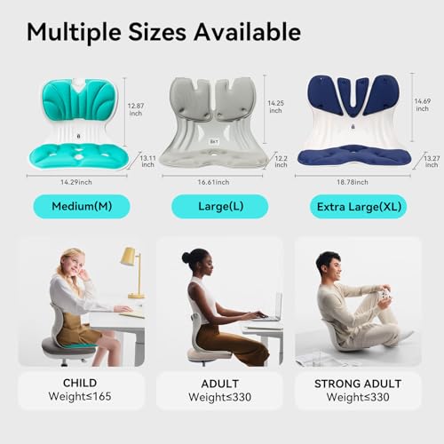 BKT Seat Cushion Chair Ergonomic Office Chair Cushions Lumbar Support for Seat Pillow Ideal for Students Office Workers Nursing Mothers Long Sitting Outdoor Fishing Floor - color: Xl-prussian Blue