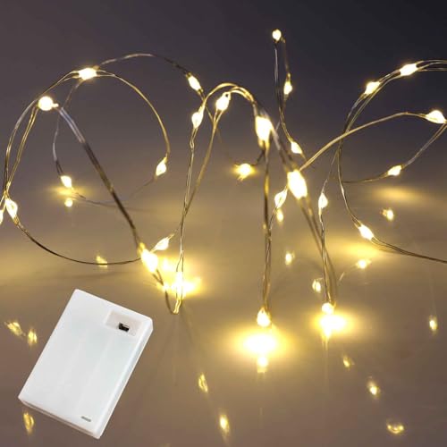 QBIS Warm White Fairy Lights Battery Operated With Timer Mode, 40 Micro LED for Mason Jars, 6.5ft Silver Wire Indoor Use - size: 1PK-40 Warm White