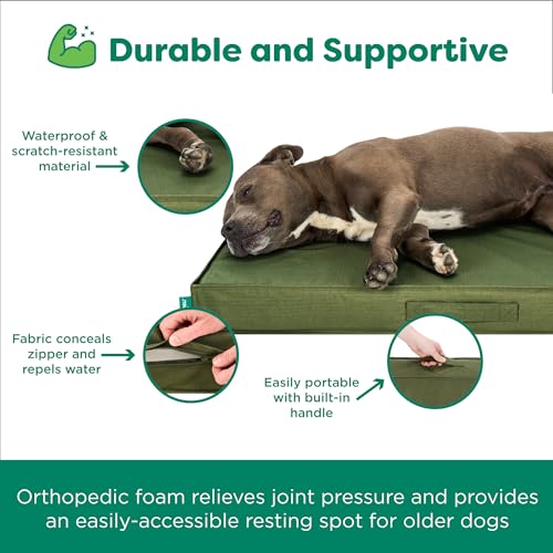 Grid Indoor-Outdoor Deluxe Mattress Pet Bed, Olivine, JumboPlus - color: Olivine, size: JumboPlus