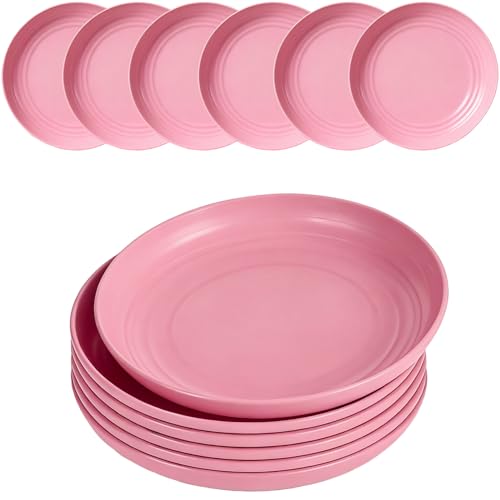 Wheat Straw Plates Unbreakable Dinner Plates Set of 6, Reusable Lightweight Plastic Plate for Camping Kitchen, Microwave and Dishwasher Safe (Pink) - color: 6 Pink