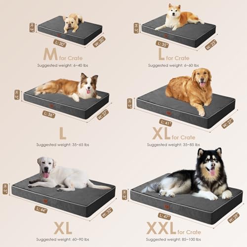 EHEYCIGA Waterproof Dog Bed Memory Foam 41x27, Orthopedic Dog Beds Mat for Extra Large Dogs with Removable Cover, Dark Grey - color: Dark Grey, size: 44.0"L x 32.0"W x 3.0"Th