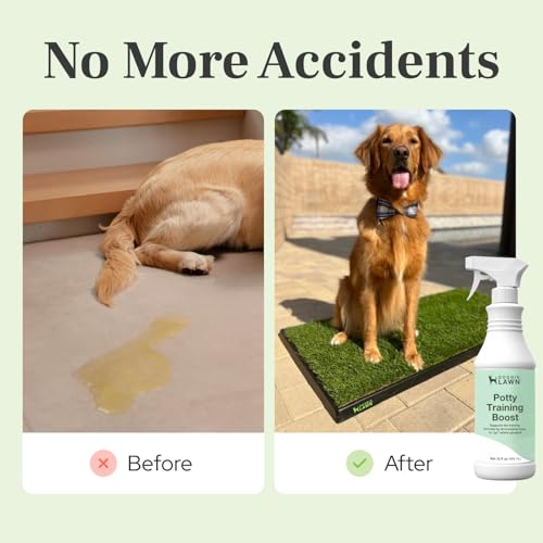 DoggieLawn Potty Training Aid Spray | Attractive Scent Helps Train Dogs Where to Potty | Formulated for Indoor & Outdoor Use | Made in USA - 32 oz
