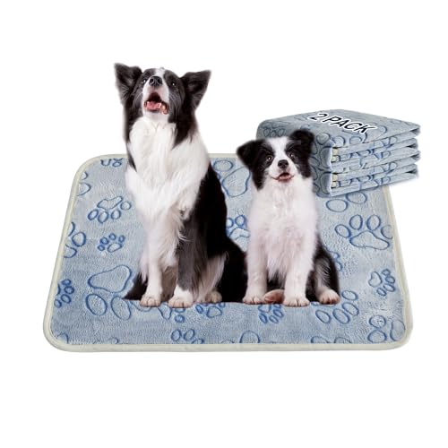 Qeils Reusable Puppy Pads, 2 Pack Washable Pee Pads for Dogs, Non Slip Wee Wee pad, Absorbent and Leakproof Training Mats for Potty, Crate, Playpen, Bed, Sofa, 28"x 42" - size: 28"x 42"(pack of 2)